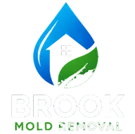 Brook Mold Removal
